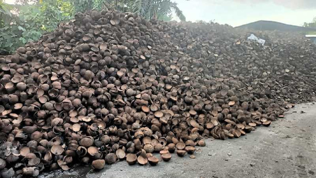 Coconut Shell (Bao) for Sale